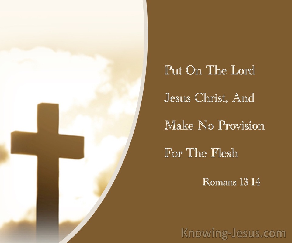 Romans 13:14 Put On The Lord Jesus Christ, And Make No Provision For The Flesh (brown)